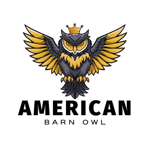 American Barn Owl